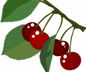 Fresh Cherry Fruit Painting Shiny Colored Design