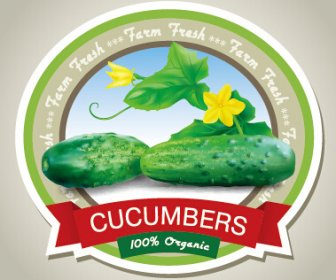 Fresh Cucumbers Creative Labels Vector