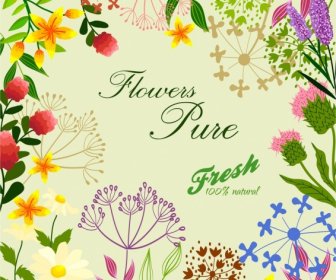 Flores Frescas Fundo Colorido Desenho Caligrafia Decoração