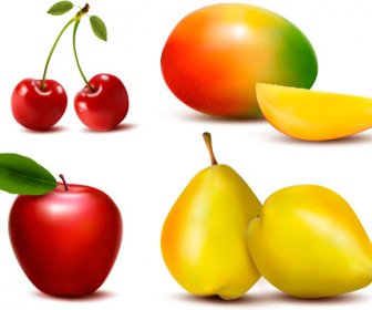Fresh Fruits Realistic Vector