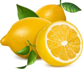 Vektor Desain Kreatif Lemon Segar 5