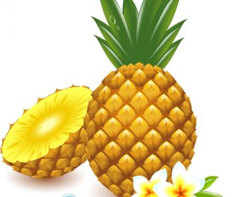 Fresh Pineapple Vector Graphic