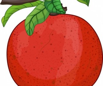 Fresh Pomegranate Fruit Painting Classical Colorful Closeup Design
