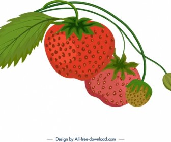 新鮮成熟的草莓圖示五顏六色的古典設計