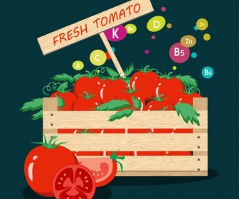 fresh tomato advertisement red slices design vitamin signs