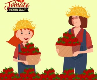 ícones De Frutas Vermelhas De Agricultores De Publicidade De Tomate Fresco