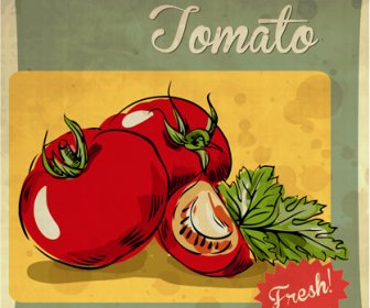 신선한 토마토 복고풍 스타일 포스터 벡터