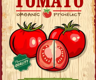 Свежий томатный ретро стиль плакат вектор