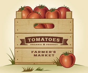 Свежий томатный ретро стиль плакат вектор
