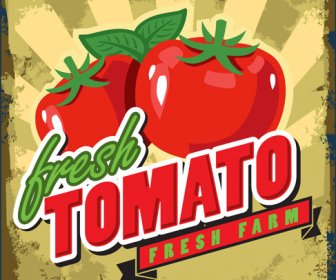 フレッシュ トマト レトロ ポスター ベクトル