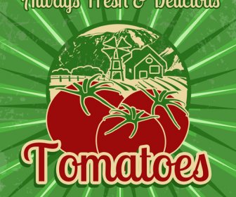 Fresh Tomato Retro Style Poster Vector