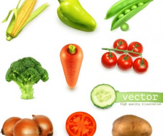 Vektor Mengkilap Sayuran Segar