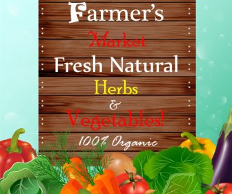 Frisches Gemüse Promotion Banner Illustration Mit Realistischen Stil