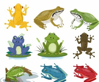 青蛙物種圖示收集五顏六色的卡通設計