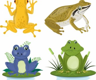 青蛙野生動物圖示設置彩色卡通素描