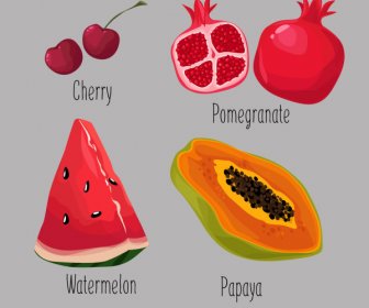 Fruit Icons Colored Classical Handdrawn Sketch
