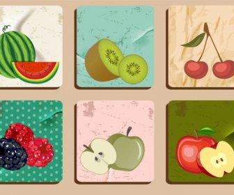 Conjuntos De Iconos De La Fruta Color Retro Diseño