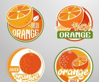 Fruits Logotypes Icône Orange Cercle Design