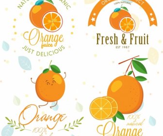 Icônes De Modèles Orange Fruits Logotypes
