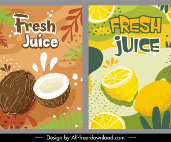 Meyve ürün Reklam şablonları Handdrawn Hindistancevizi Limon Dekor