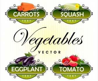 Fruit With Vegetables Labels Design Set