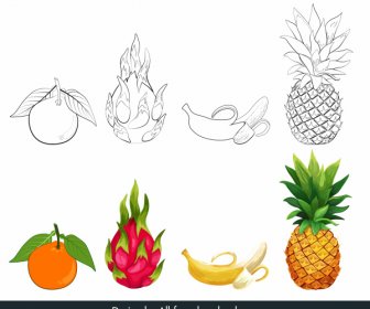 Fruits Icons Black White Colored Handdrawn Sketch