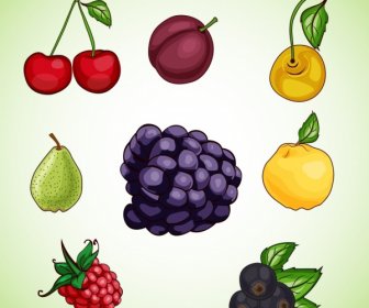 Colección De Iconos Piso Colorido Diseño De Frutas