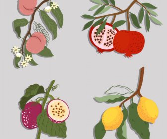 Fruits Icons Colored Retro Sketch