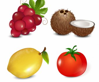 Früchte Ikonen Bunte Traube Kokosnuss Zitrone Tomate Skizze