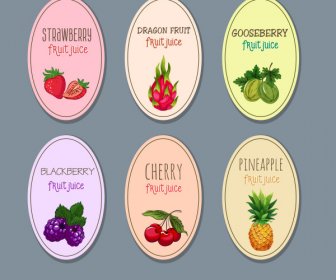 Fruits Labels Templates Colored Classical Flat Design