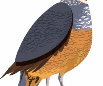 Galliformes Icon Bird Sketch Colored Closeup Design
