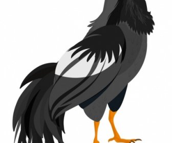 Galliformes Icon Chicken Sketch Colored Cartoon Design