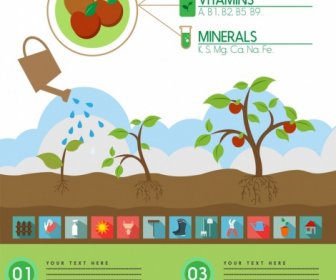 Lavori Di Giardinaggio, Infographic Frutta E Strumenti Simboli Decorazione