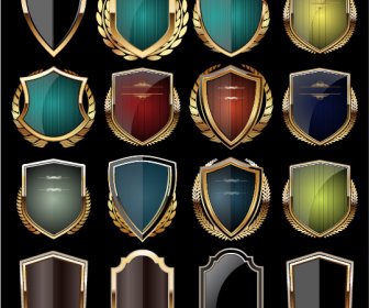 Glass Textured With Golden Shield Vector