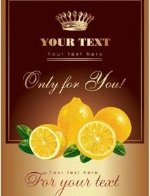 Glossy Lemon Fruit Vector Brochure Flyer Vector Illustration