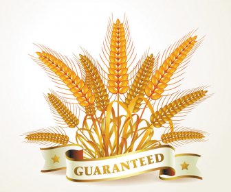 Golden Wheat Creative Background Vector
