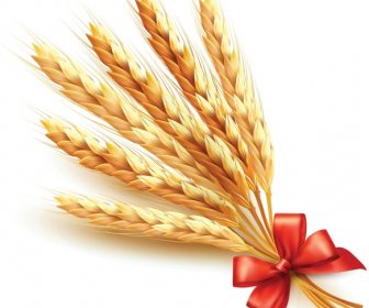 Golden Wheat With Red Ribbon Vector Background