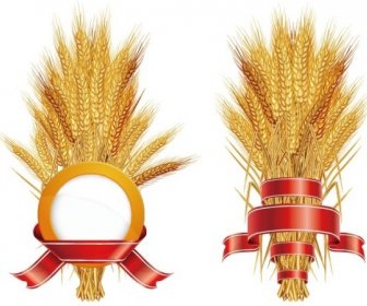 リボン ベクトルと黄金の小麦