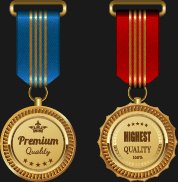 Gorgeous Medal Award Vector 3