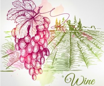 grape and farm hand drawing vector