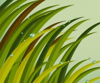 Grass Background Green Icons Decoration Dew Droplets Decor