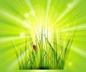 Ile Güneş ışığı Yeşil Renkli Parlak Vektör çimen