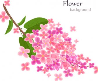 핑크 꽃 배경 벡터와 초 잎