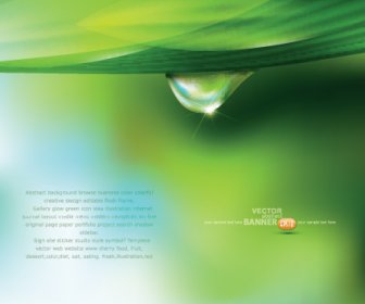 Green Background With Water Drop Vector