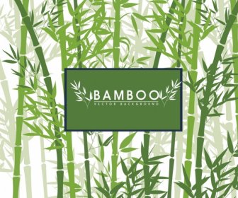 La Silueta De Bambú Decoración De Fondo Verde