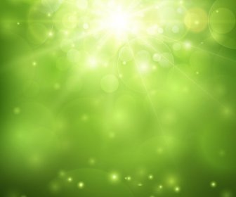 Green Blurred Background And Sunlight Vector Illustration
