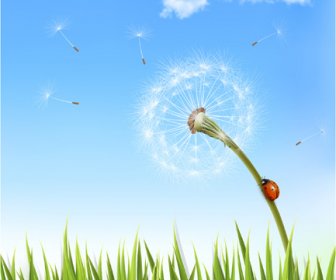 Green Grass With Dandelion Natural Elements Vector