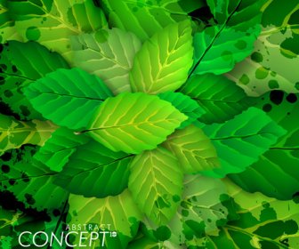 Grüne Blätter Konzept Hintergrund Elemente Vektor