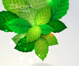 Grüne Blätter Design Elemente Karten Vektor