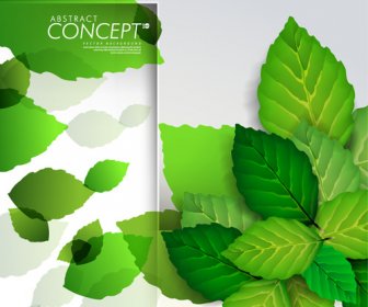 Grüne Blätter Design Elemente Karten Vektor